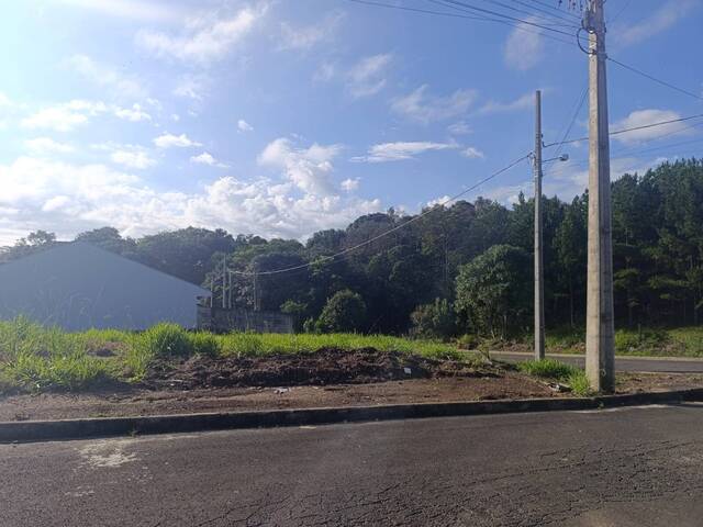 #4 - Área para Venda em Irati - PR - 3